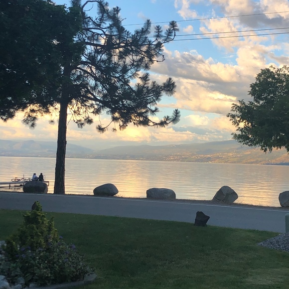 Meet your Posher, Andrew - Picture 1 of 1